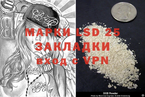 мяу мяу мука Аркадак